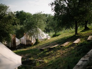 Safari Tent Glamping in an Olive Grove with Pool in Tuscany, Italy